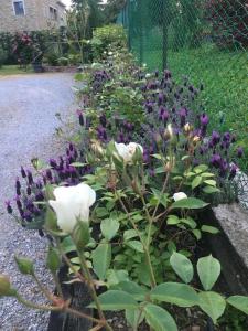 CasaNobile - Suite Il Grano