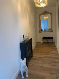 Appartements Le Rooftop d’Isa : photos des chambres