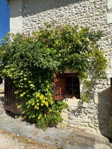 Maisons de vacances La Grange Traditional stone French Farmhouse stunning views : photos des chambres