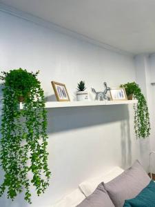 Apartamento full providencia