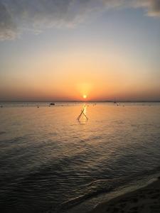 B&B / Chambres d'hotes Charmante dependance : photos des chambres