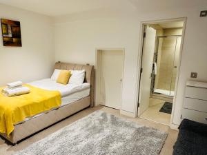 Central Cosy Studio Apartments