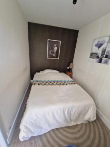 Les voiles de la Baule