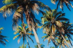 Casa Salga Patacho F003 - Rota Ecológica de São Miguel dos Milagres