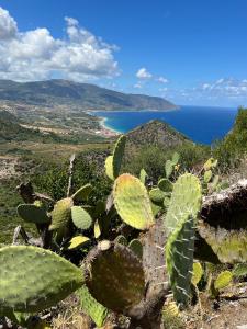 Casa Vacanze Peppe Larunchi Rosa Larunchi