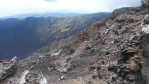 Casa Vacanze Peppe Larunchi Rosa Larunchi