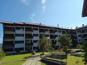 Orchidea - 塔尔维西奥