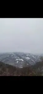 ANN III - 弗拉西纳里德