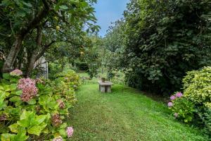 La Torrentera de Cantabria