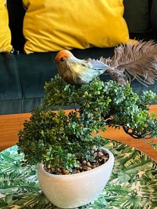 Bonis 2,5 Zimmer Ferienwohnung