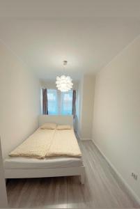 Apartament w rynku