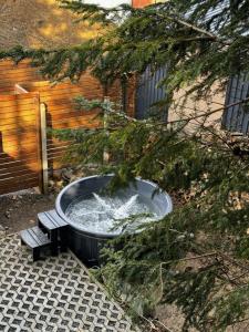 Парк-готель Щастя