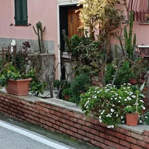 Fabienne - Бонассола