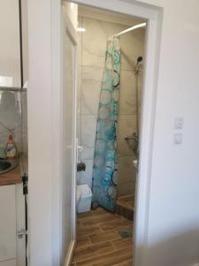 Apartman Aleksandar 1