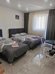 Apartman Aleksandar 1