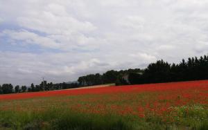Chambre dans Petit havre de paix avec piscine chauffée au coeur du Luberon