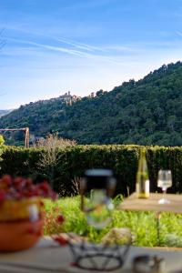 Appartements charmant 2 pieces vue Saint Paul de Vence 1 chambre : Appartement 1 Chambre