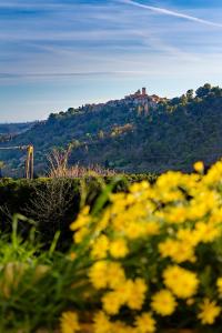 Appartements charmant 2 pieces vue Saint Paul de Vence 1 chambre : photos des chambres
