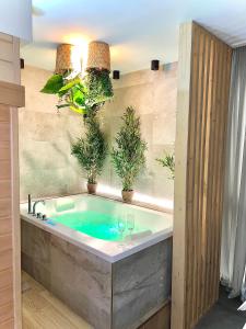 Spa - Sauna privatif plein centre