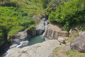 El Edén; Un paraíso irresistible.
