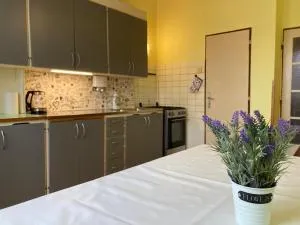 Spacious apartment - free parking! - Ovčín