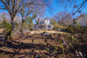 obrázek - Healthy Greenery - Urban Retreat in Rock Hill