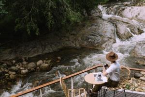 Taryn Tara Cafe and Stay