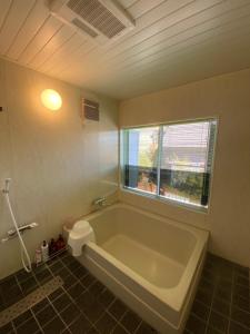 구스 Novocell 4성급 숙소 로비