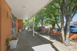 Onocay House Bright Victoria