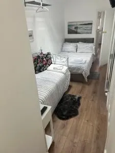 Cosy Studio Apartment, Flat in London - 锡德卡普