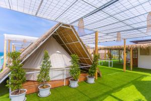 Tawaen Caza Sky Camping