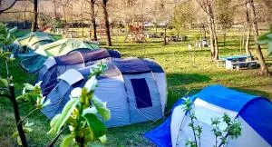 Kamping Lakoza - Bulsic