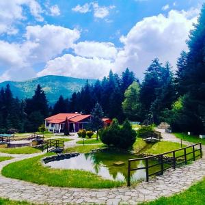 ECO VILLA OLYMPUS with sauna and swimming pool