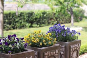 Appartamento vicino al mare