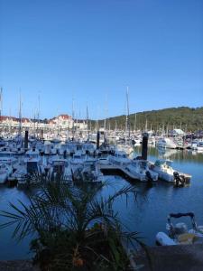 Appartements hebergement sur camping 5 etoiles proche mer proche centre Houlgate : photos des chambres