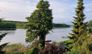 Apartament " La Dolce Vita "