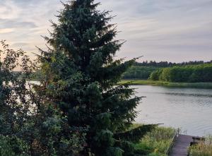 Apartament " La Dolce Vita "