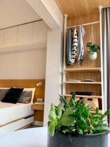 Estudio en playa La Malagueta