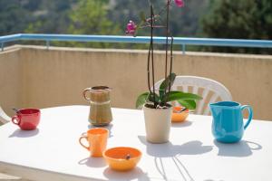 Appartement Numéro 2 - piscine