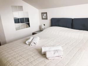 Bright penthouse close to center with terrace and lake view