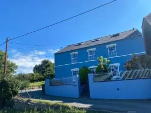 Mount Pleasant Newport, Pembrokeshire - Dinas