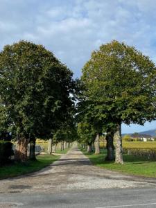 Domaine de la Noiseraie