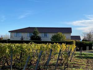 Domaine de la Noiseraie