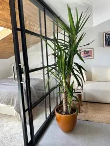 Apartamento de ensueño - Mendiondo
