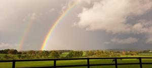 Maison de charme en campagne, 5 min du haras du pin