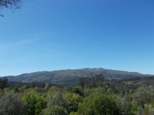 Country House - Hippie Garden