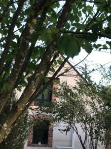 Maison à la Campagne