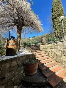 Agriturismo Tassinaia - Rufina