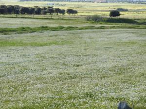 Casa Rural Monfragüe