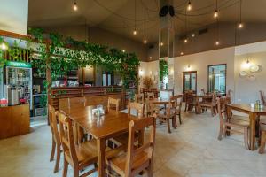 Casa Dinainte SPA Resort